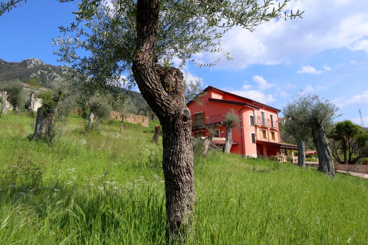 Controne B&B La Casa Del Sole מראה חיצוני תמונה